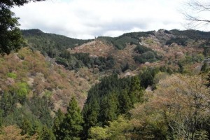 吉水神社